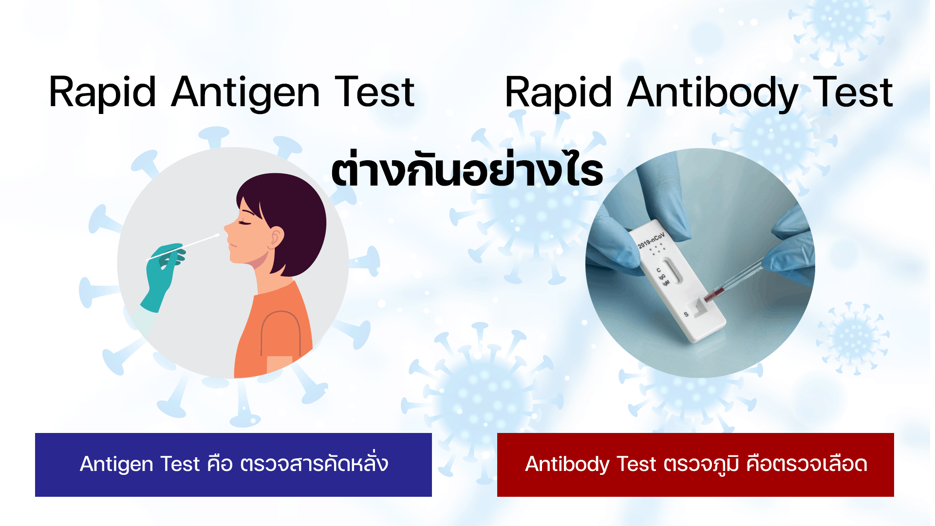 Rapid Antigen Test กับ Rapid Antibody Test ต่างกันอย่างไร?