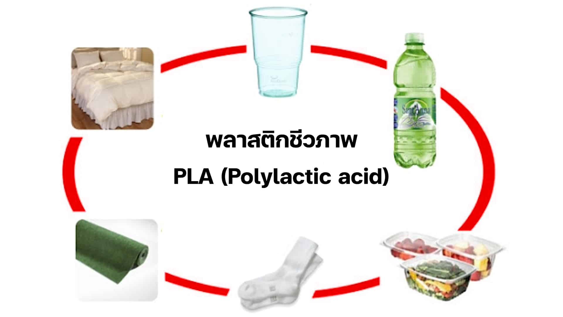 พลาสติกชีวภาพ PLA (Polylactic acid)